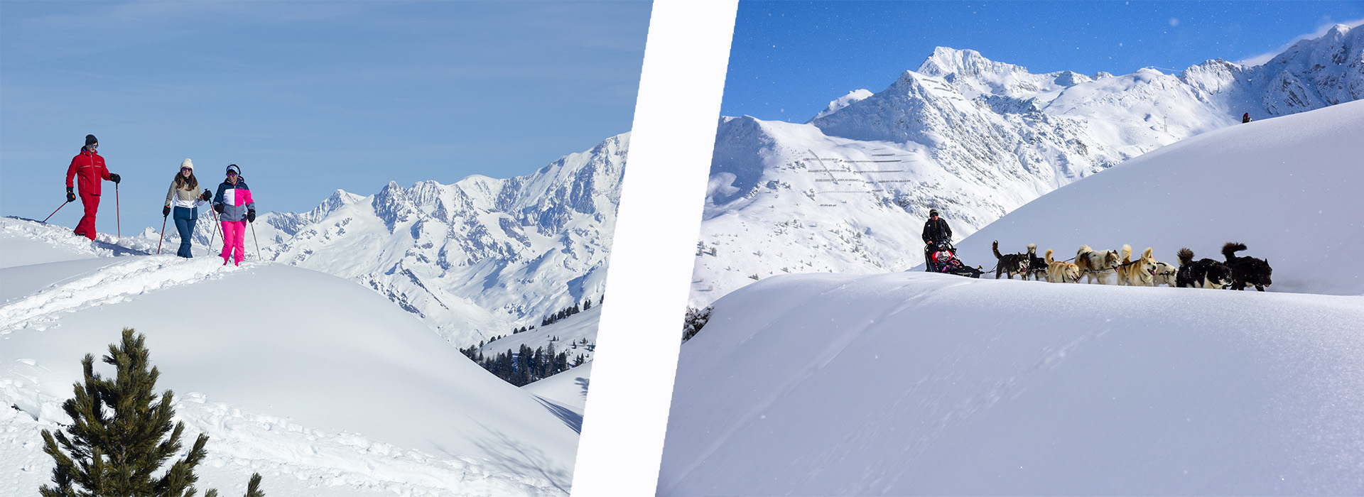 Raquettes et chien de traineau à La Plagne