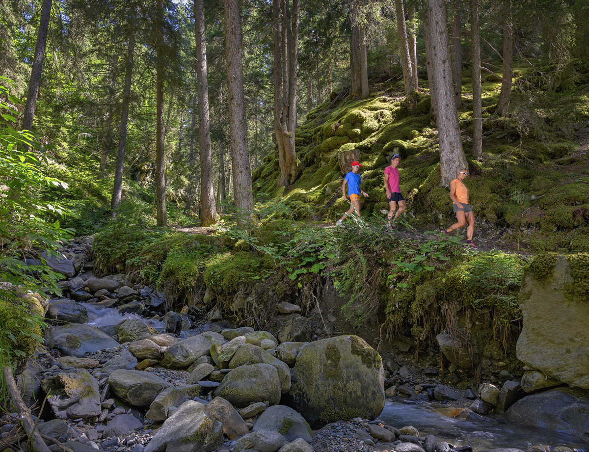 Randonnée en famille dans la forêt à La Plagne