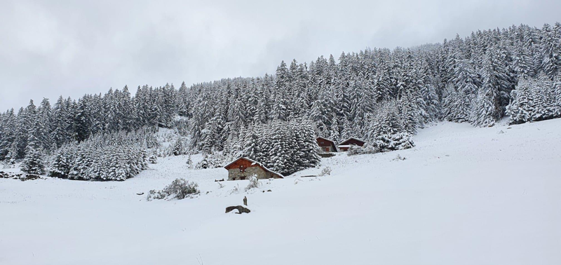 Vallon de Foran à La Plagne en hiver