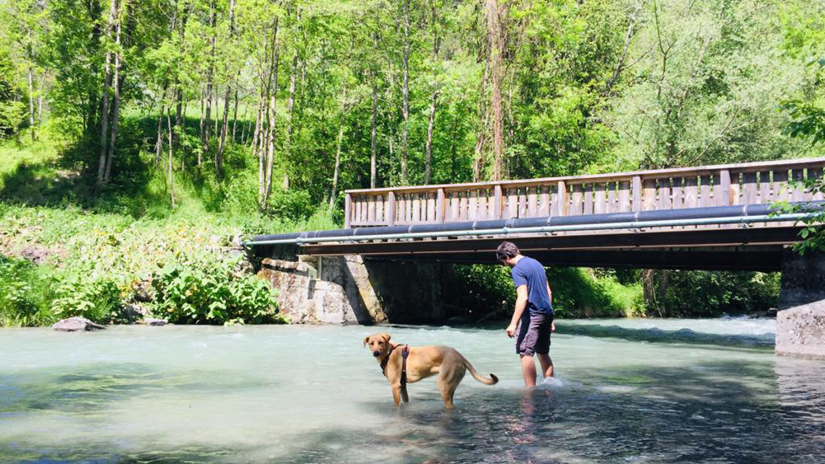 balade Isère avec chien