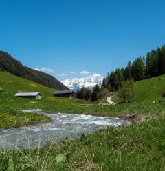 Le ruisseau de Pramain