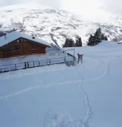 Vue sur le restaurant le Joli Bois