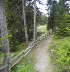 Tourbière du Lac Noir