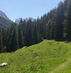 Sentier du Bief