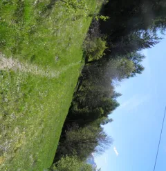 Le sentier nature