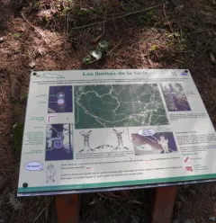 Le sentier nature