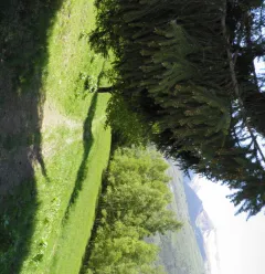 Les Coches par la Pierra