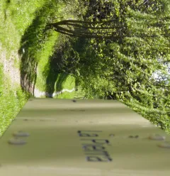 Les Coches par la Pierra