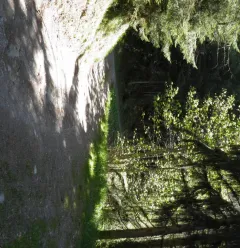 Les Coches par la Pierra