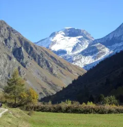 Chalet la Taillette - 6 pers.