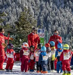 Club Piou-Piou - Jardin des neiges