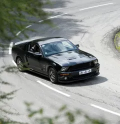 Motor Sportive Day