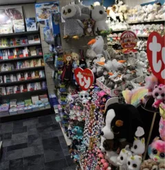 peluche