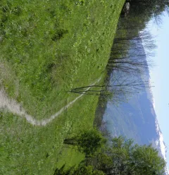 Le Chemin de la Pierra