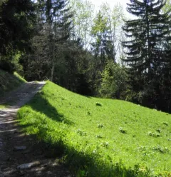 Le Chemin de la Pierra