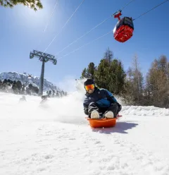 Colorado luge
