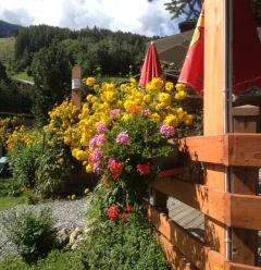 Restaurant la Bovate