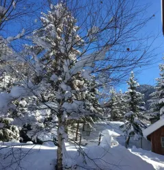 Chalet Les Crocus