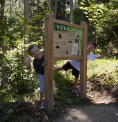 Biodiversité été