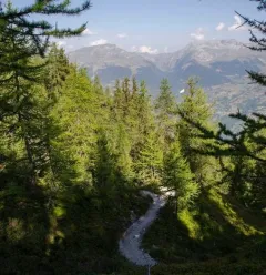 Sentier Mont Saint Jacques