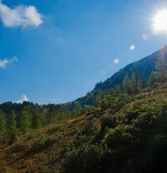 Sentier Mont Saint Jacques