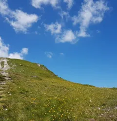 Sentier du Mont Saint Jacques