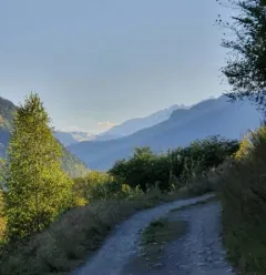 Sentier des vignes