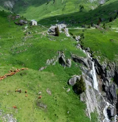 Itinéraire de randonnée pédestre : Sentier du Plateau de Plan Pichu_Aime-la-Plagne