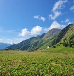 Itinéraire de randonnée pédestre : Sentier de la Croix du Berger_Aime-la-Plagne