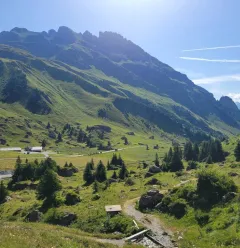 Itinéraire de randonnée pédestre : Sentier de la Croix du Berger_Aime-la-Plagne