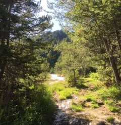 Sentier de l'eau Montgirod