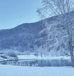 Itinéraire de randonnée pédestre : Sentier botanique et écologique de Centron_Aime-la-Plagne