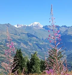 Paysage alentour
