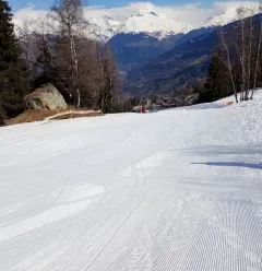Paysage alentour hiver