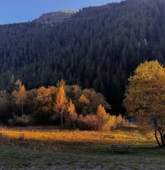 Champagny le haut 