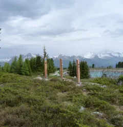 Des points de visée