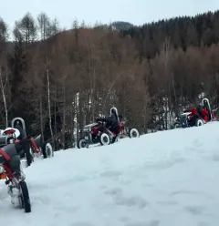 le bois