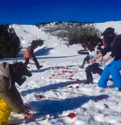 Battle Archery