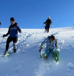 Descente 