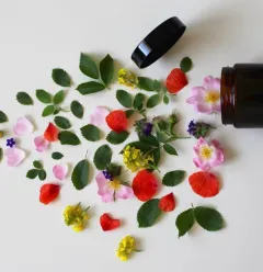 cosmetique naturel