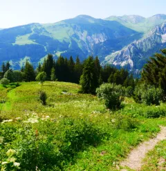 Tour du Merle 3