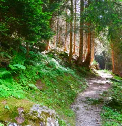 Tour du Merle 6