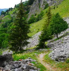 chemin des Gorges