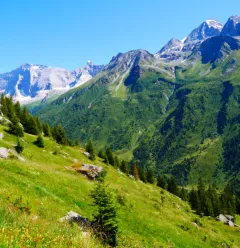 Montée vers Lécheron