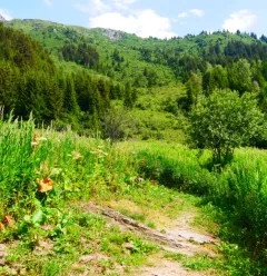 Le refuge du Plan des Gouilles par les Enclos du Seil