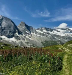 Randonnées, treks & trails