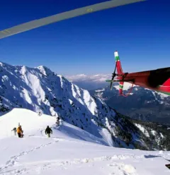 Blugeon hélicoptère