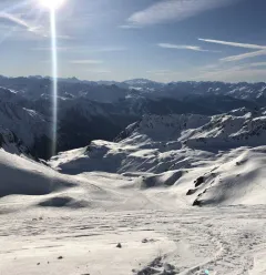 Les Chardons 