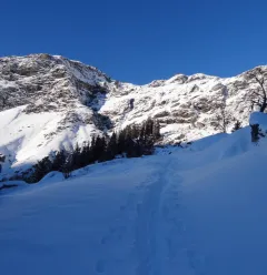 Itinéraire hiver des Teppes