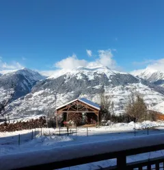 Vue 
